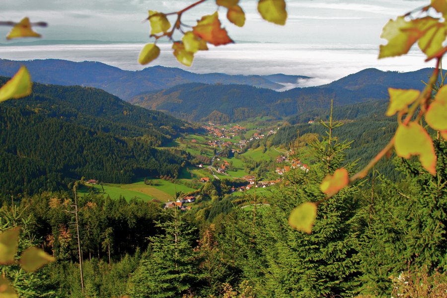 L'automne à Seebach en Forêt-Noire