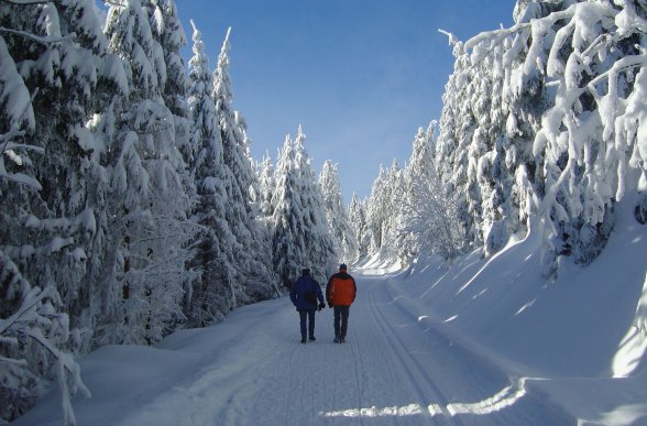 Sentier de randonnée hivernal à Lauterbach en Forêt-Noire